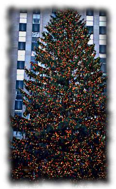 Ein bunter Weihnachtsbaum mit einem Spruch